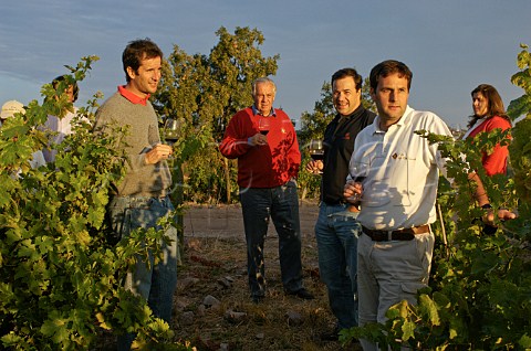 Board of directors in vineyards of Luis Felipe Edwards Colchagua Chile