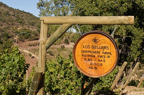 Cerro Quillayes sign marking Carmenre vines in vineyard of Luis Felipe Edwards Colchagua Valley Chile Rapel