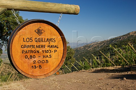 Cerro Quillayes sign marking Carmenre vines in vineyard of Luis Felipe Edwards Colchagua Valley Chile Rapel