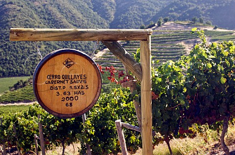 Cerro Quillayes sign marking Cabernet Sauvignon vines in vineyard of Luis Felipe Edwards Colchagua Valley Chile Rapel