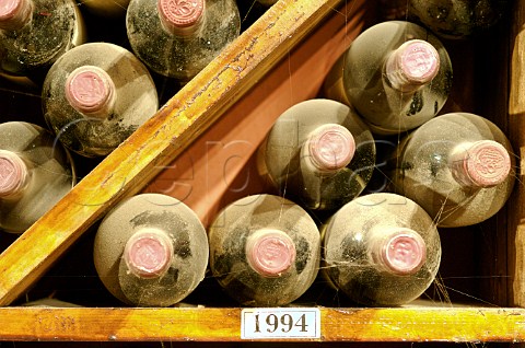 Bottles of 1994 in cellar of Luis Felipe Edwards  Colchagua Valley Chile