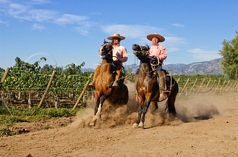 Huasos wearing traditional chupalla straw hats riding in vineyard of Luis Felipe Edwards Colchagua Valley Chile Rapel