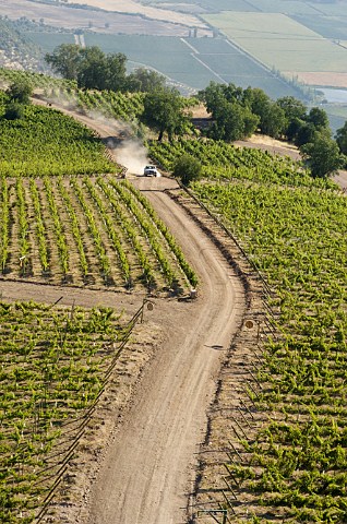 Vineyards of Luis Felipe Edwards Colchagua Valley Chile Rapel