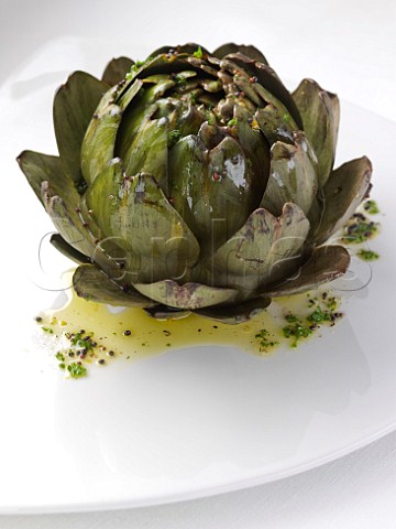 Artichoke on a white plate