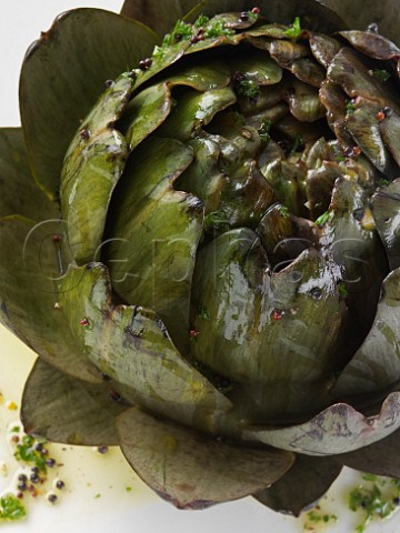 Globe artichoke