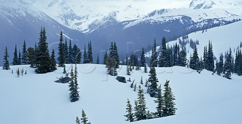 Snow scene on Whistler Mountain Whistler British Columbia Canada