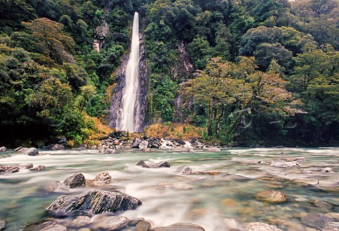 Thunder Creek Falls and Haast River Mt Aspiring National Park South Island New Zealand