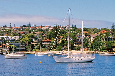 Yachts at anchor on Sydney Harbour SydneyNew South Wales Australia
