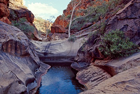 Roma Gorge West Macdonnell Ranges National Park Northern Territory Australia