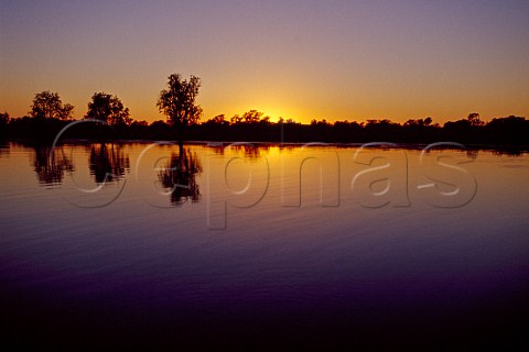 Sunrise at Yellow Water Billabong Kakadu National Park Northern Territory Australia