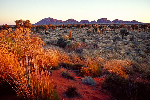 Kata Tjuta The Olgas at sunrise UluruKata Tjuta National Park Northern Territory Australia