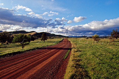 Dirt road through green paddocks Flinders Ranges South Australia