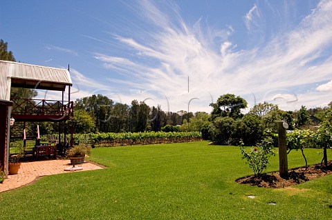 Pepper Tree winery and vineyard Hunter Valley New South Wales Australia