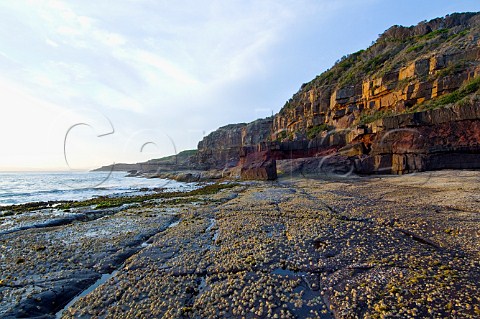 Coastline at sunset Disaster Bay Green Cape Ben Boyd National Park New South Wales Australia