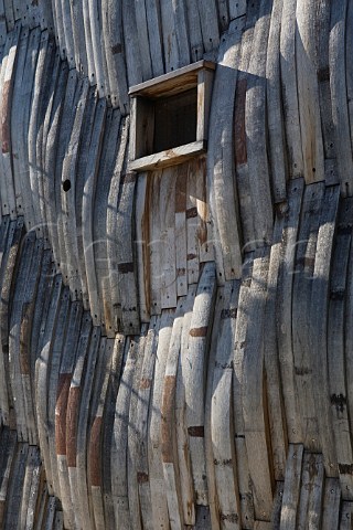 Oak staves from old barrels covering the walls of barrel cellar alla Brunella Vini Boroli Castiglione Falletto Piemonte Italy