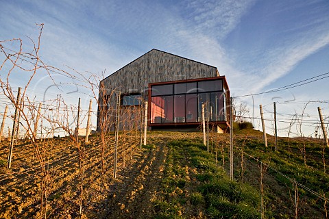 Barrel cellar alla Brunella overlooking vineyard of Vini Boroli Castiglione Falletto Piemonte Italy