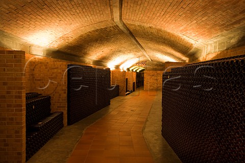 Bricco Rocche bottle cellars of Ceretto Castiglione Falletto Piemonte Italy