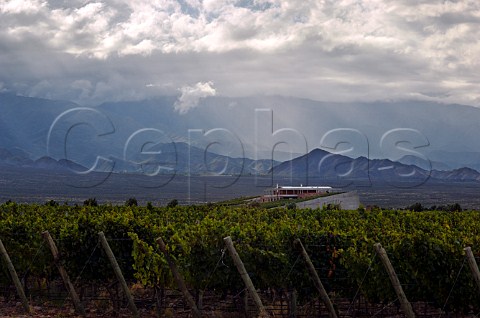 Evening light on Monteviejo winery and vineyard part of the Clos de Los Siete group Mendoza Argentina  Uco Valley