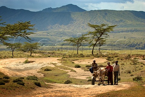 Children with a donkey cart in the Rift Valley south of Naivasha Kenya