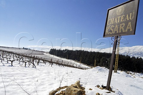 Snow in Khorbet Kanafer vineyard of Chateau Ksara Bekaa Valley Lebanon