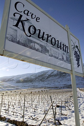 Sign for Cave Kouroum with snowcovered Kefraya vineyard Bekaa Valley Lebanon