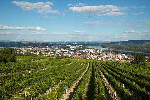 View over Krems with vineyards Niedersterreich Austria Kremstal