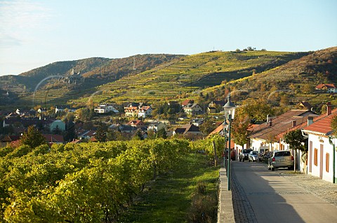 Ried Rammeln vineyard overlooking Imbach village with Senftenberg castle beyond Niedersterreich Austria Kremstal