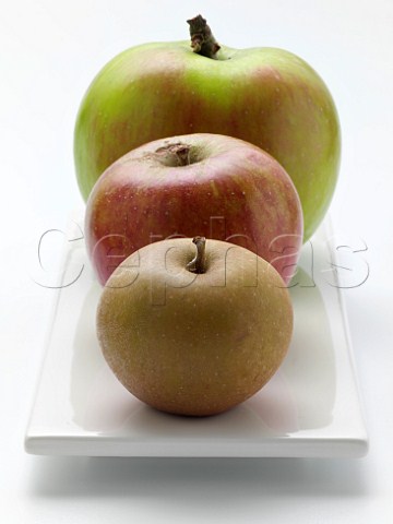 British apples Bramley Coxs Orange Pippin and Egremont Russet