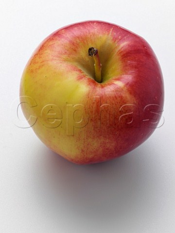 Ambrosia apple