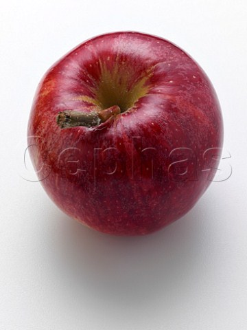 Royal Gala apple