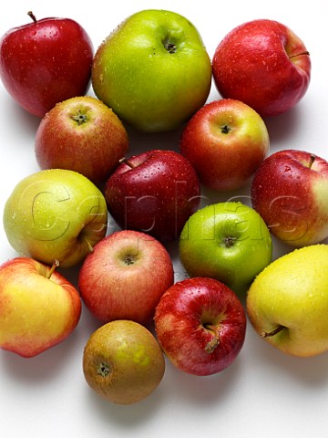 Variety of apples