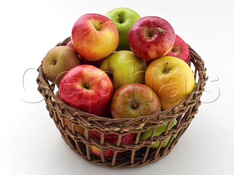 Variety of apples in a basket