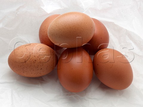 Half dozen large brown free range eggs