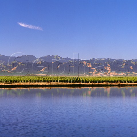 Vineyards of Winemakers of ARA viewed over its irrigation dam in the Waihopai Valley with the Black Birch Range beyond Marlborough New Zealand