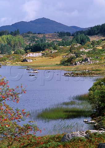 Lake in Killarney National Park County Kerry Ireland