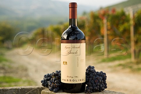 Bottle of Vigna Rionda Reserva Barolo in Vigna Rionda vineyard Serralunga dAlba Piemonte Italy Barolo