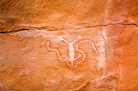 Rock art in Killagurra Gorge Durba Hills Canning Stock Route Western Australia