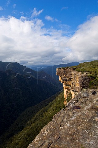 Kanangra Walls Kanangra Boyd National Park New South Wales Australia
