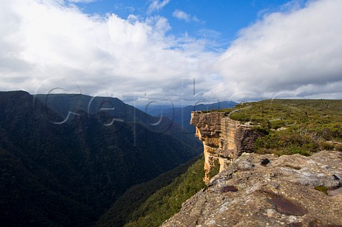 Kanangra Walls Kanangra Boyd National Park New South Wales Australia