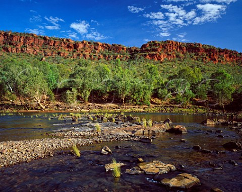 Red cliffs over the Victoria River Gregory National Park Northern Territory Australia