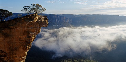 Clouds below Hanging Rock Blue Mountains National Park New South Wales Australia