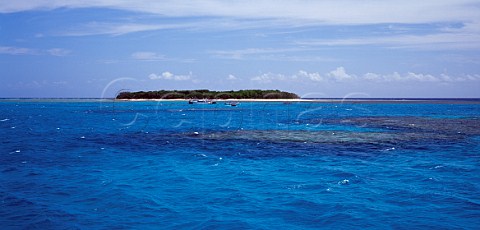 Lady Musgrave Island Capricornia Cays National Park Great Barrier Reef Queensland Australia