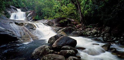 Josephine Falls Wooroonooran National Park Queensland Australia