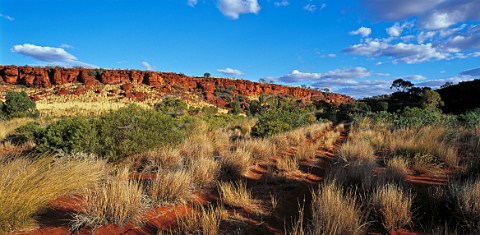 Killagurra Gorge in the Durba Hills Canning Stock Route Western Australia