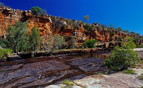 Barnett River Gorge Kimberley region Western Australia