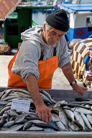 Fresh fish at Favignana harbour Favignana Island Sicily Italy