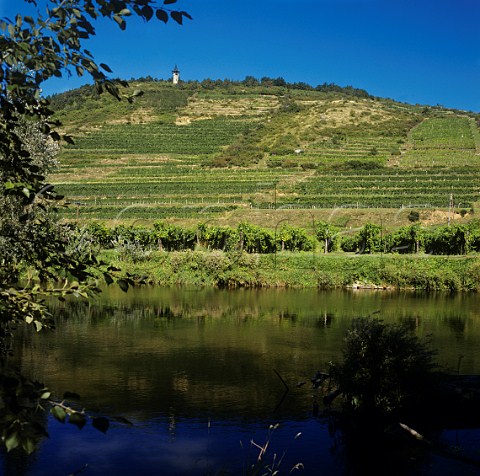 Zbinger Heiligenstein vineyards viewed over the Kamp river Zbing Niedersterreich Austria Kamptal