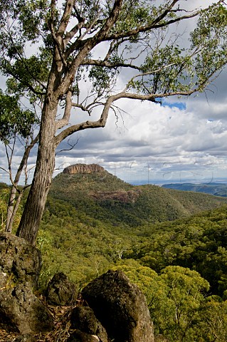 Euglah Rock Mount Kaputar National Park New South Wales Australia