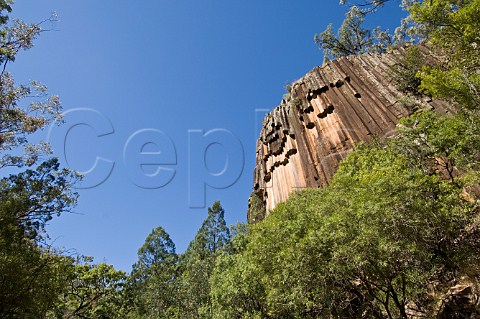 Sawn Rocks Mt Kaputar National Park New South Wales Australia