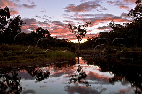Waterhole at sunset Kings Plains creek Kings Plains National Park New South Wales Australia